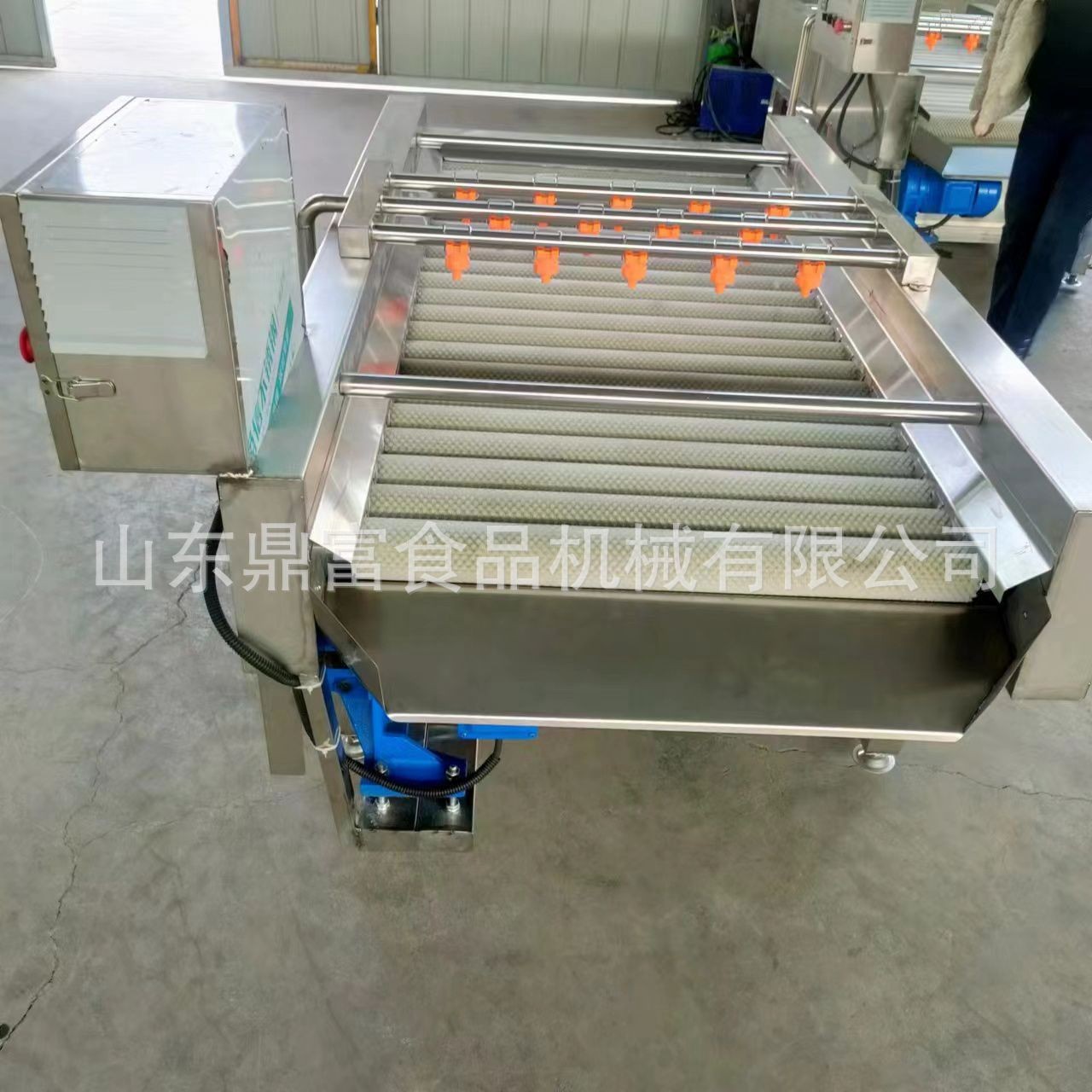 新鮮葉菜類清洗機 大批量蔬菜葉子清洗設(shè)備 鼓泡清洗機配高壓噴淋