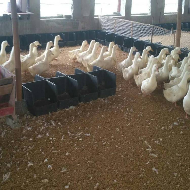 無(wú)底鴨蛋窩 鴨子生蛋筐 黑色加厚鴨蛋窩 種鴨產(chǎn)蛋窩批發(fā)零售