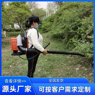 廠家生產(chǎn)批發(fā)大功率背負(fù)道路吹風(fēng)機(jī) 風(fēng)力滅火機(jī)森林滅火機(jī)吹雪機(jī)