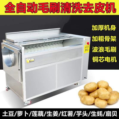 全自動(dòng)毛輥清洗機(jī)花生紅薯芋頭生姜土豆清洗去泥去皮機(jī)生蠔清洗機(jī)