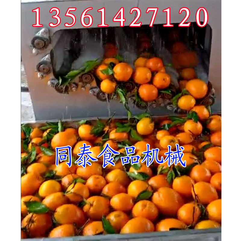 贛橙清洗機(jī)