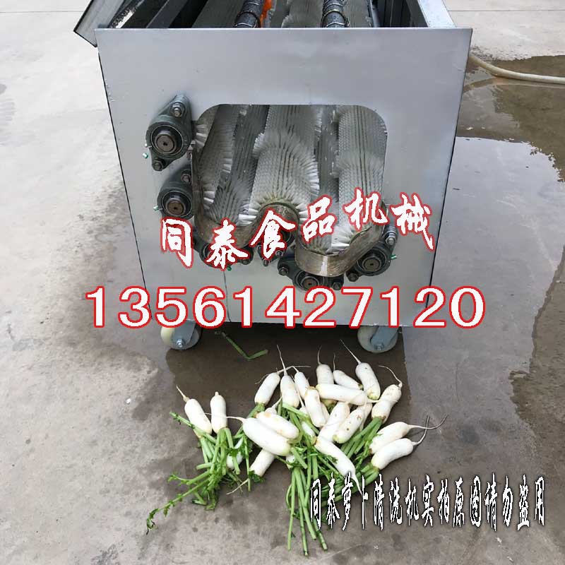 韓國小蘿卜清洗機(jī)