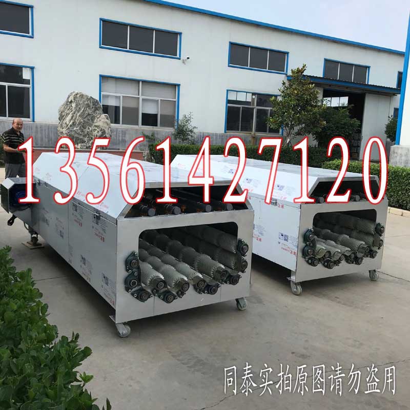 12輥蘿卜清洗機4