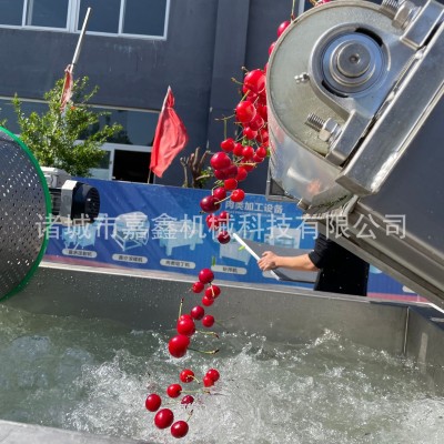 嘉鑫生產(chǎn)漩流芹菜段清洗機(jī) 多功能菜椒塊渦流清洗震動(dòng)瀝水一體機(jī)