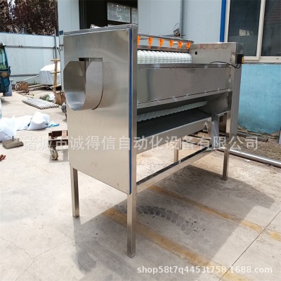 商用大型全自動果蔬毛輥脫皮清洗機 馬蹄蓮藕毛刷脫皮清洗機