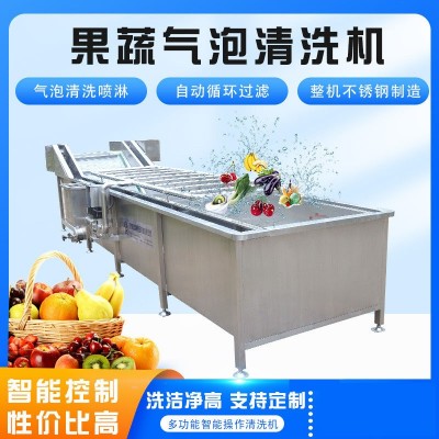 推薦藍(lán)莓圣女果多功能氣泡清洗機(jī)葉類蔬菜氣泡翻滾清洗設(shè)備