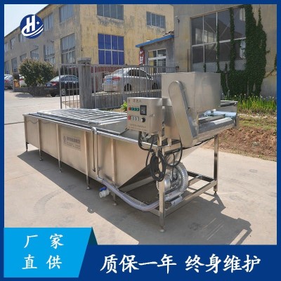 果蔬氣泡清洗機(jī) 廠家供應(yīng)紅棗氣泡噴淋清洗設(shè)備 葉類蔬菜氣泡清洗