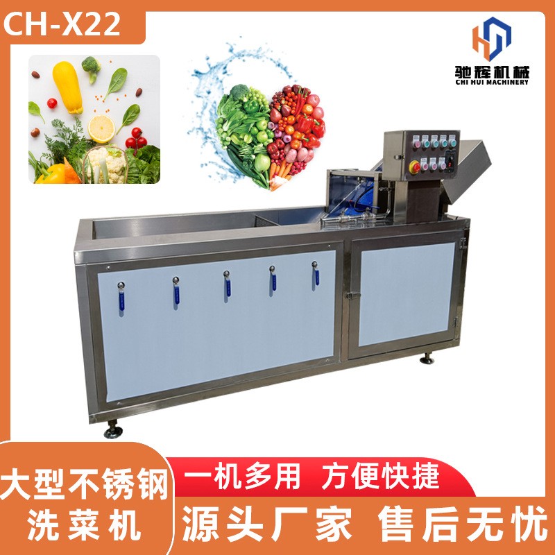 廣東葉菜蔬菜清洗機廠家 大棗灰棗氣泡噴淋雙重清洗機 清洗風(fēng)干線