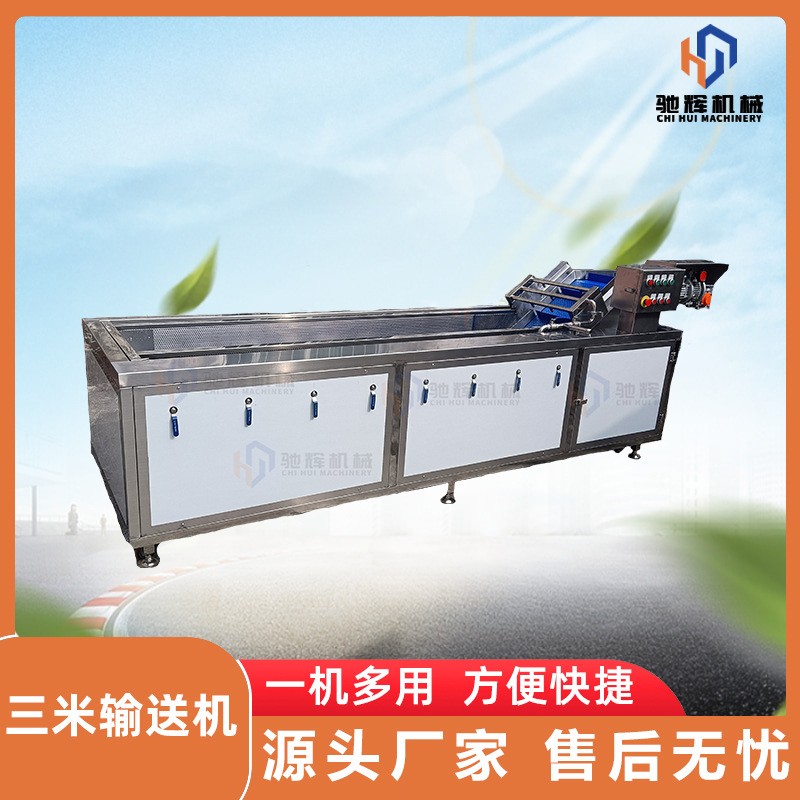馳輝機械大型無損果蔬清洗機 連續(xù)式菠蘿清洗機 柚子氣泡清洗機
