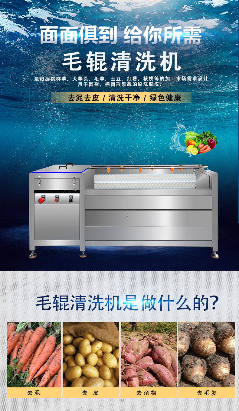 毛輥清洗機(jī)