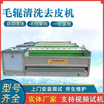 現貨土豆去皮機脫皮機 9根木薯洋蔥去皮機 毛刷毛輥清洗機