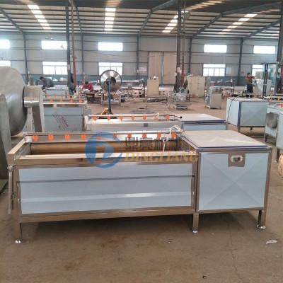 廠家供應(yīng)根莖類蔬菜清洗去皮機(jī) 全自動(dòng)蘿卜清洗機(jī)蔬菜加 工廠設(shè)備