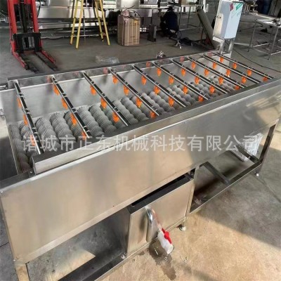 芋頭地瓜清洗機 根莖類蔬菜毛輥清洗設(shè)備 胡蘿卜毛輥清洗機