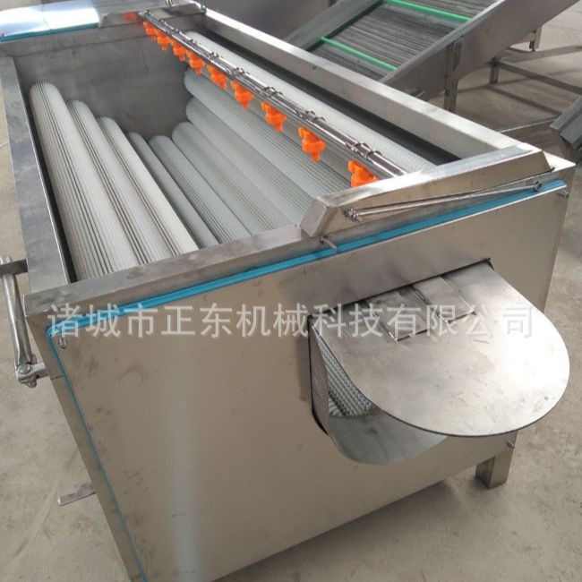 貝殼類海鮮毛輥清洗機(jī) 花生土豆芋頭根莖類毛輥清洗機(jī) 海蠣子清洗