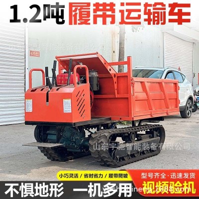 爬山虎履帶運(yùn)輸車全地形爬坡王山地果園農(nóng)用工程自卸式搬運(yùn)爬坡車