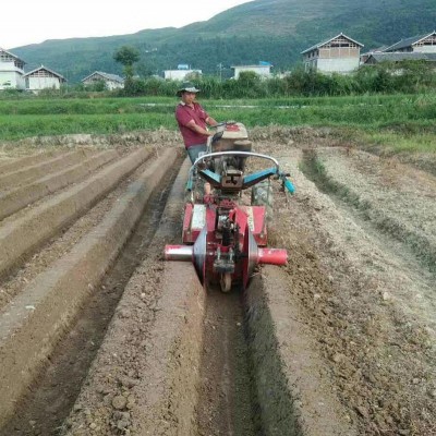柴油機(jī)帶大棚用草莓開溝起壟機(jī) 一次成型草莓大蔥旋耕筑埂機(jī)