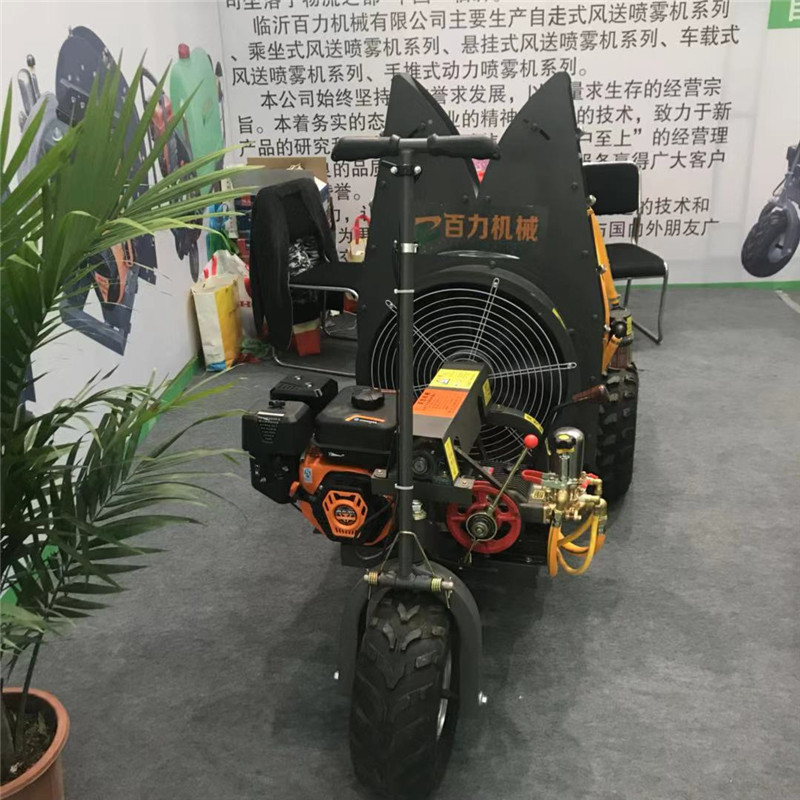 55ab056538695fdbf61477ec2b188c