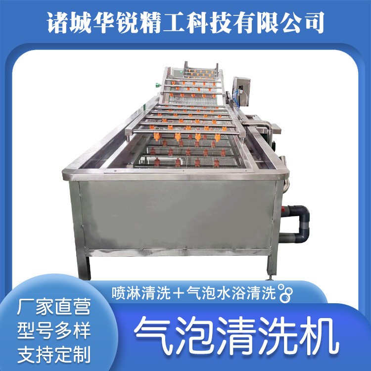 小型氣泡清洗機(jī) 果蔬氣泡清洗機(jī) 果蔬高壓噴淋清洗設(shè)備油菜清洗機(jī)