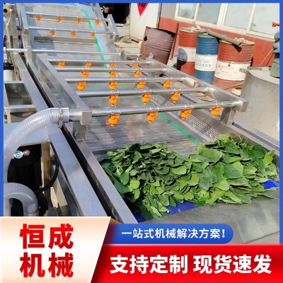 蔬菜水果氣泡清洗機(jī)胡蘿卜翻浪去泥清洗設(shè)備辣椒清洗線廠家優(yōu)惠