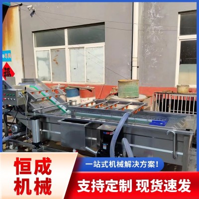 全自動(dòng)藥材把白菜蘿卜清洗機(jī)蔬菜高壓沖洗清洗流水線廠家直銷優(yōu)惠