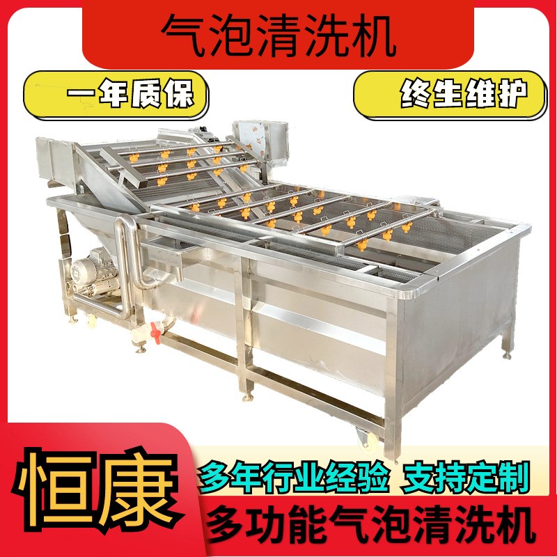 果蔬氣泡清洗機(jī)包裝袋清洗設(shè)備大棗噴淋式?jīng)_洗機(jī)蔬菜清洗流水線