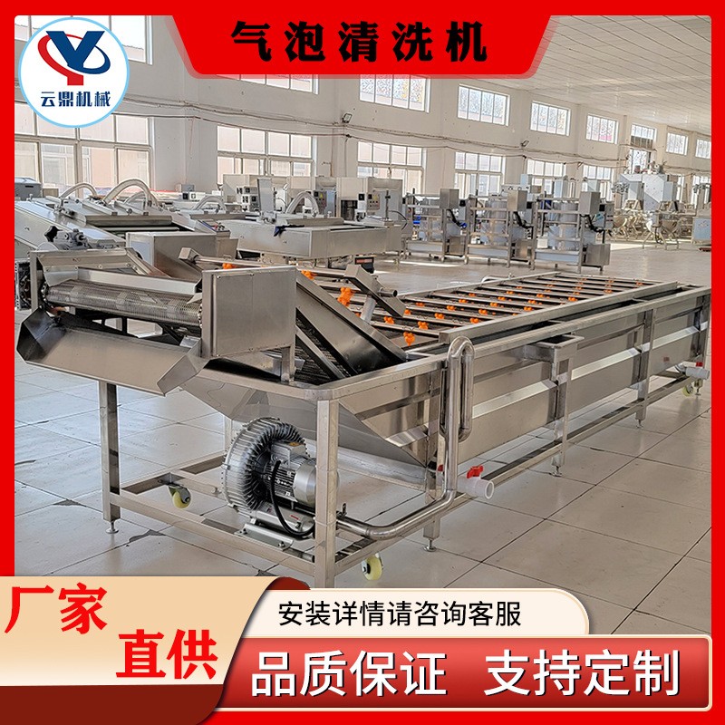 多功能氣泡清洗機(jī) 商用楊梅蔓越莓清洗機(jī)器 全自動噴淋氣泡清洗機(jī)