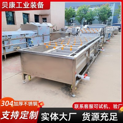 豆芽清洗機(jī) 多功能全自動(dòng)葡萄清洗設(shè)備 不銹鋼氣泡清洗流水線