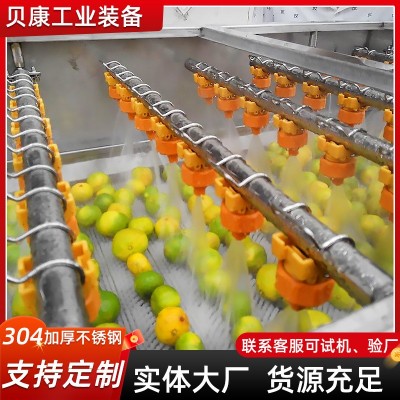 草莓枇杷果氣泡清洗設(shè)備 石榴清洗機(jī) 全自動(dòng)不銹鋼果蔬清洗機(jī)