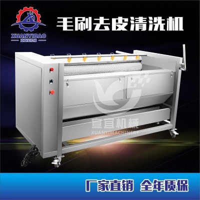 知母清洗機(jī) 全自動(dòng)中草藥清洗機(jī) 毛輥式清洗機(jī)毛刷清洗機(jī)