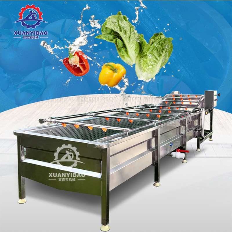 廠家供應(yīng)全自動果蔬清洗機(jī) 胡桃青皮清洗機(jī) 氣泡沖浪式榛子清洗機(jī)