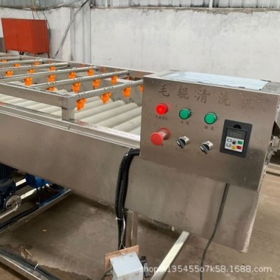 大型海蠣子清洗機 平行式毛輥清洗機 多功能毛輥清洗流水線設(shè)備