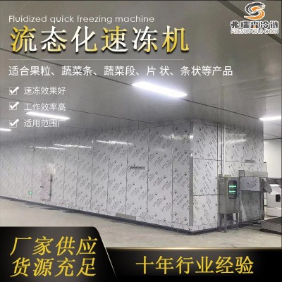 速凍西蘭花加工設(shè)備流水線 花椰菜速凍機(jī) 食品連續(xù)式速凍機(jī)