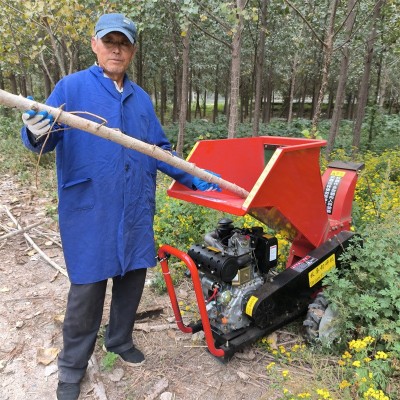 果園林樹枝粉碎機小型樹木枝條破碎機 柴油電啟動園林碎枝機