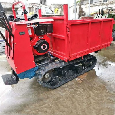 卡博恩 履帶運(yùn)輸車 小型手扶履帶運(yùn)輸車 地形履帶運(yùn)輸車育苗機(jī)