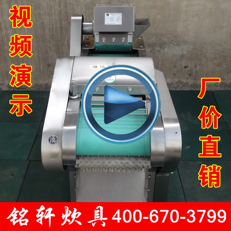 供應(yīng)1000型 多功能切菜機(jī) 切苦瓜片機(jī) 切海帶機(jī) 切梅干菜機(jī)