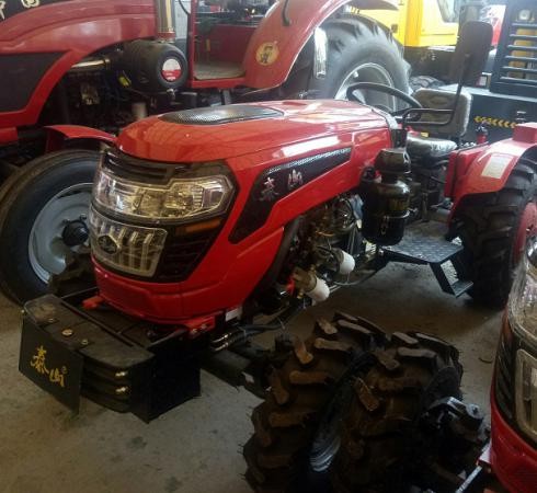 泰山TF404大棚王泰山404大棚王