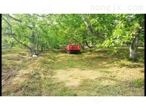 頂呱呱1GZL-107遙控管理機(jī)櫻桃園旋耕視頻