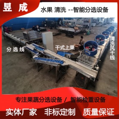 桃子柑橘清洗分選包裝設備 水果分級設備 選果分級機 自動選果機