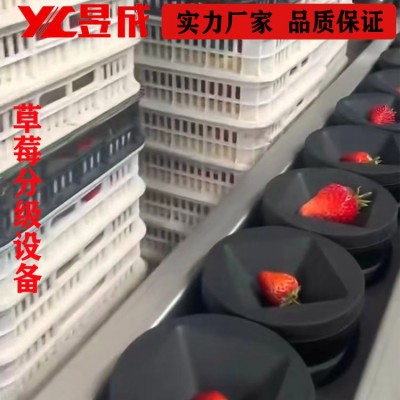 重量糖度 草莓分選機 西瓜分級機 水果分選設備 自動選果機