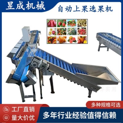 鮮食玉米重量分級輸送包裝 鮮食玉米加工生產(chǎn)線 自動選果機