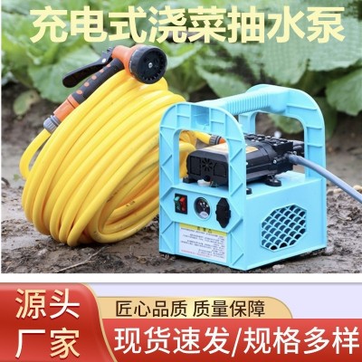 充電式抽水泵手提高壓噴霧農(nóng)用打藥澆菜抽水機家用洗車澆花沖肥器
