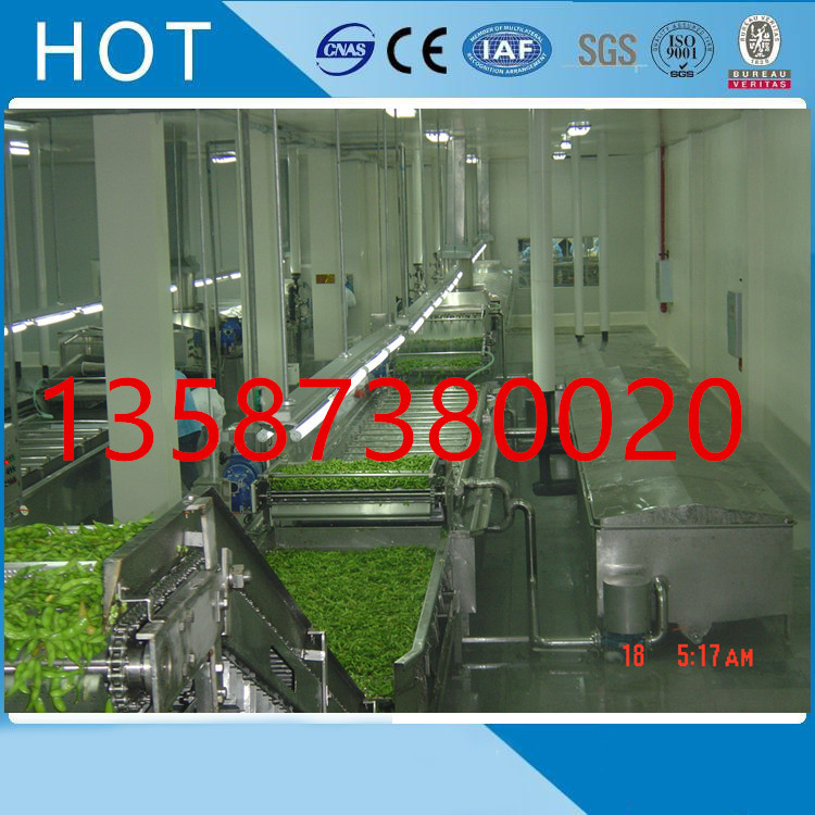 速凍生產(chǎn)線4