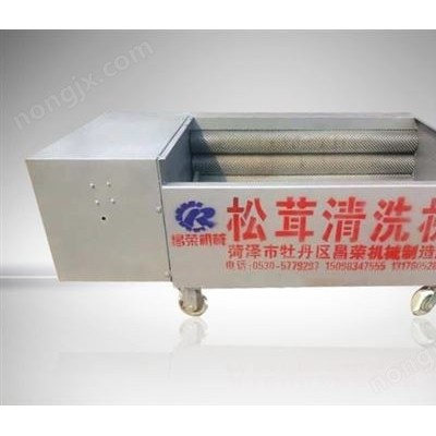 松茸清洗機(jī)11