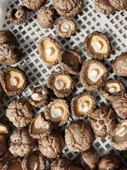 多層網(wǎng)帶式烘干機(jī),食用菌類烘干機(jī)