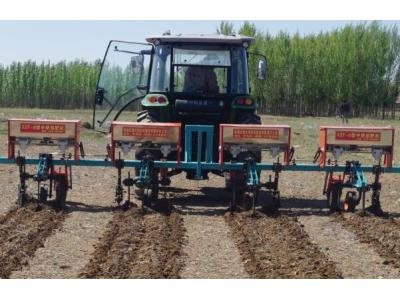 大博3ZF-6葵花中耕施肥機