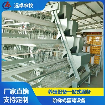 蛋雞養(yǎng)殖自動化設(shè)備福建漳州四層階梯立體蛋雞 a型階梯蛋雞籠
