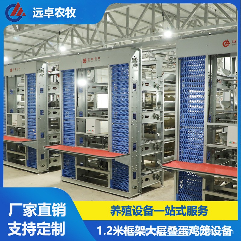 H型蛋鴨籠養(yǎng)殖設(shè)備 全自動撿蛋養(yǎng)雞場新疆石河子四層疊立體蛋雞籠