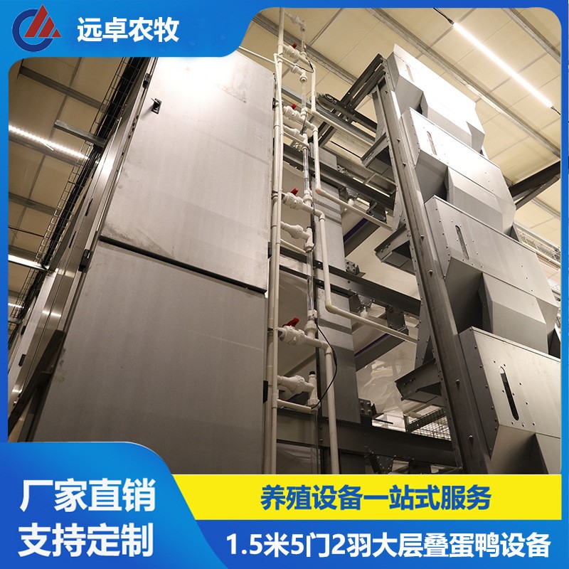 大層疊五列八層籠養(yǎng)鴨設(shè)備 江蘇泰州四層H型框架式自動化蛋鴨籠養(yǎng)
