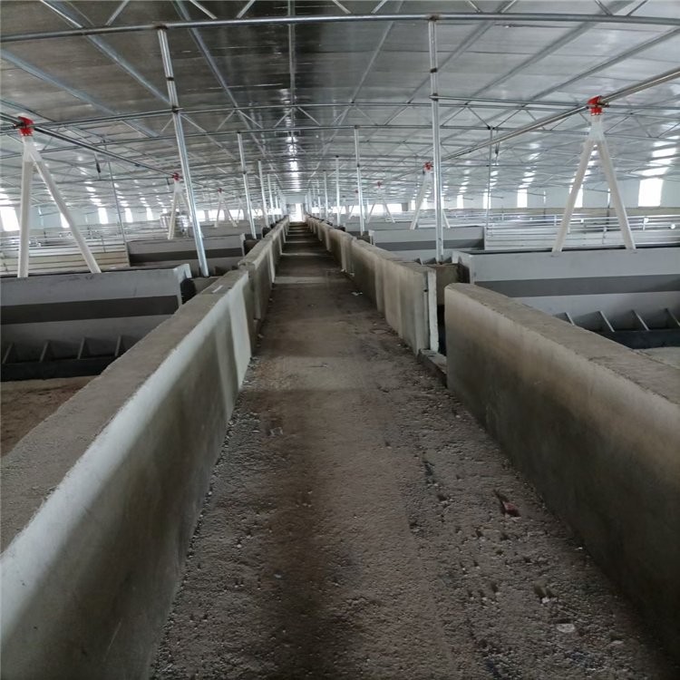 全自動養(yǎng)豬設(shè)備 智能化自動料線 百民畜牧豬場安裝設(shè)計