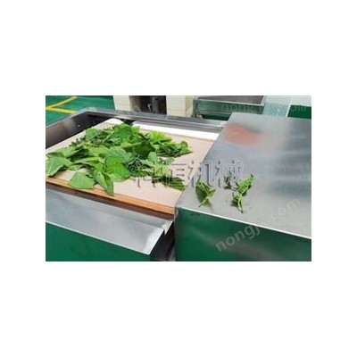 微波桑葉烘干機(jī)